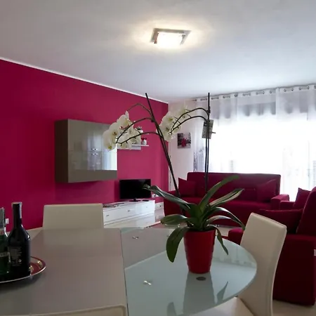 Orchidea